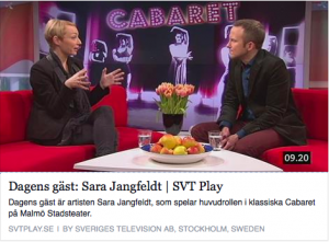 SVT 29 jan 2014